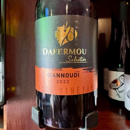 DAFERMOU GIANNOUDI 2022